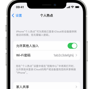 大冶apple服务站点分享iPhone上个人热点丢失了怎么办 