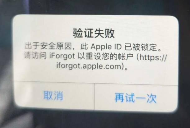 大冶iPhone维修分享iPhone上正常登录或使用AppleID怎么办 