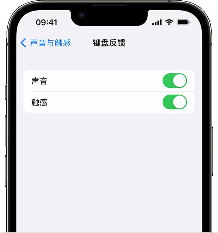 大冶苹果14维修店分享如何在 iPhone 14 机型中使用触感键盘 