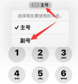 大冶苹果14维修店分享iPhone 14 Pro Max使用副卡打电话的方法 