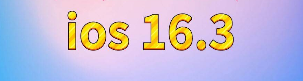 大冶苹果服务网点分享苹果iOS16.3升级反馈汇总 