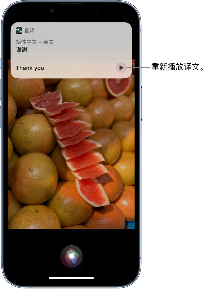 大冶苹果14维修分享 iPhone 14 机型中使用 Siri：了解 Siri 能帮你做什么 