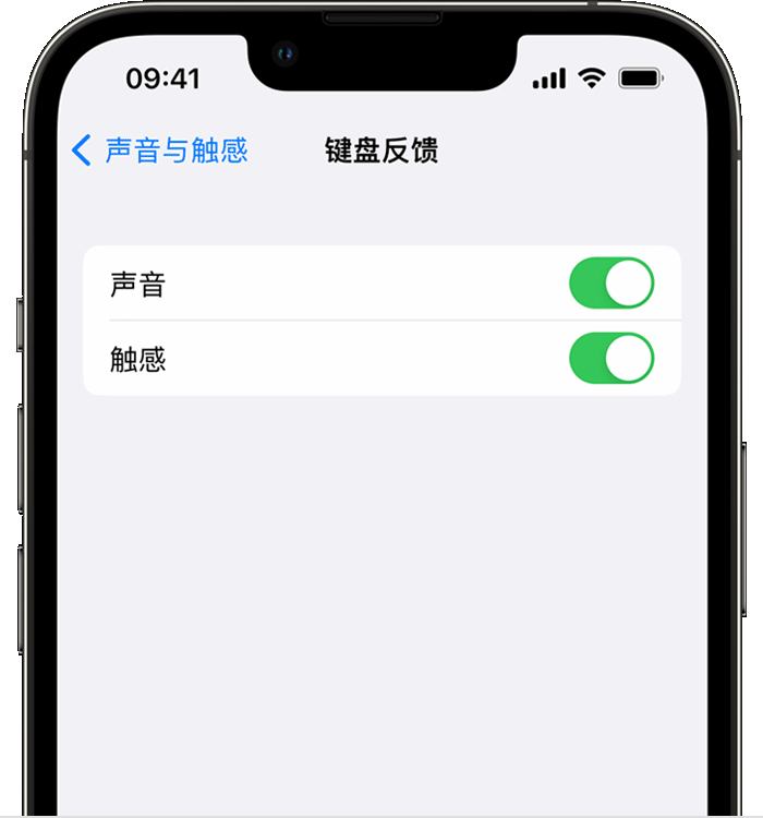 大冶苹果14维修分享iPhone 14 系列机型如何开启键盘声音或触感反馈 