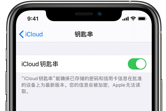 大冶苹果手机维修分享在 iPhone 上开启 iCloud 钥匙串之后会储存哪些信息 