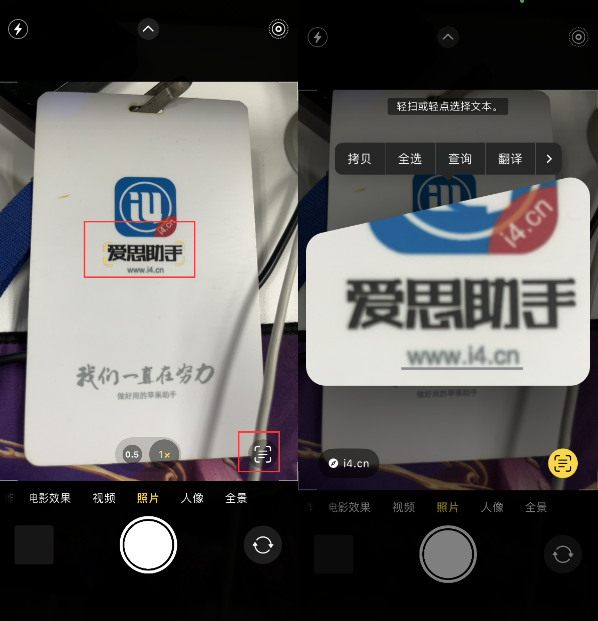 大冶苹果手机维修分享升级iOS 16后如何通过相机翻译文本 