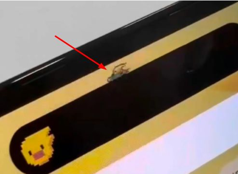 大冶苹果14维修分享iPhone 14 Pro Max灵动岛怎么养宠物 