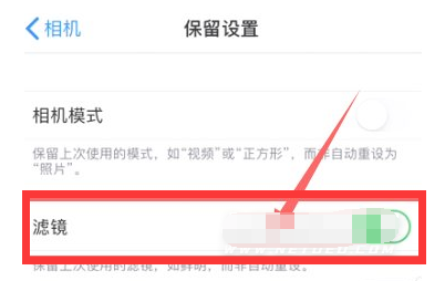 大冶苹果13维修分享iPhone13拍照有绿点是怎么回事 