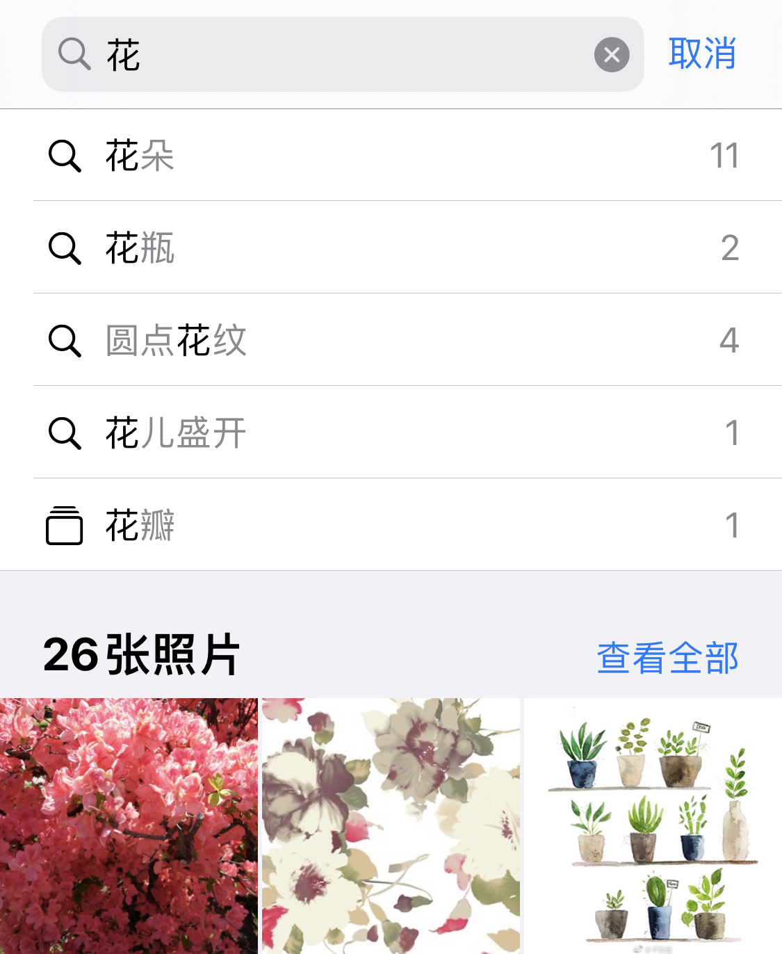 大冶苹果手机维修分享iPhone 小技巧 
