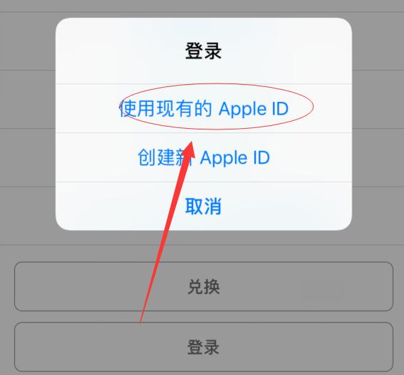 大冶苹果手机维修分享两台iPhone设备可以同时登录一个Apple ID吗 