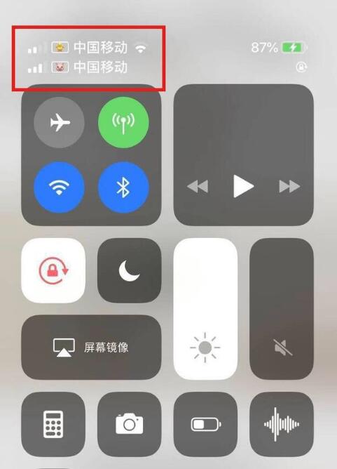 大冶苹果手机维修分享为 iPhone 12 双卡设置标签 
